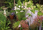 Summer Garden, gravel path with terracotta pots around garden gate