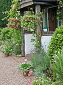 Front of house with hanging basket