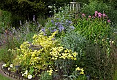 Mixed borer of herbaceous perennial Campanula Achiliea Euonymous and Eryngium