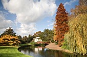 Autumn landscape