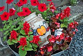 Red Petunias Red Begonias in container