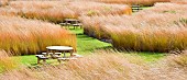Rivers of grass stunning golden Molina caerula grasses