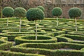 Formal Knot Garden Topiary cut shapes