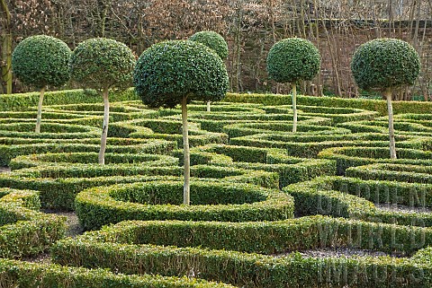 Formal_Knot_Garden_Topiary_cut_shapes
