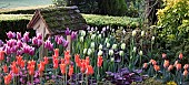 Various colours of tulips surrounding wooden