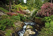 In the scenic dell and woodland garden