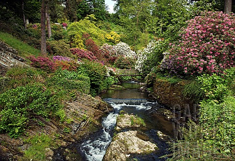 In_the_scenic_dell_and_woodland_garden