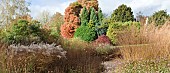 Mixed border ornamental grasses