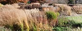 Borders in late autumn with rich autumnal russet tones