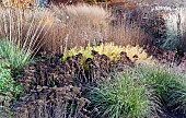 Borders in late autumn with rich autumnal russet tones