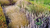 Ornamental Grasses