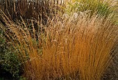 Mixed borders - ornamental grasses