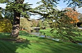 Cedar of Lebanon and other trees line the banks of the river Trent