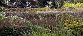 Mixed borders of perennials and ornamental grasses