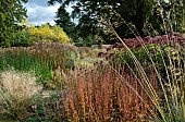 Perennials and ornamental grasses