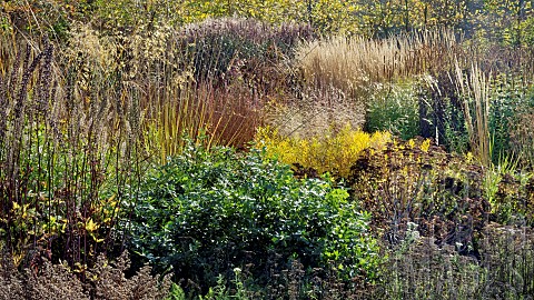 Mixed_borders_from_a_wide_variety_of_perennials_and_ornamental_grasses