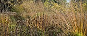 Mixed borders from a wide variety of perennials and ornamental grasses