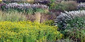 Mixed borders from a wide variety of perennials and ornamental grasses