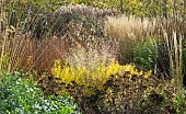 Mixed borders of Ornamental Grasses and perennials