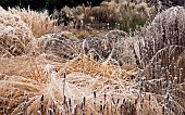 Frosted borders of ornamental grasses, perennial stems leaves and seed heads