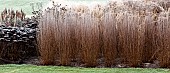 Frosted borders of ornamental grasses, perennial stems leaves and seed heads