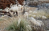 Frosted borders of hebaceous perennials and ornamental grasses
