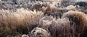 Frosted borders of hebaceous perennials and ornamental grasses