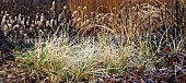 Frosted foliage of perennial grasses and herbaceous perennials