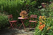 Heuchera Marmalade Coral bells the maple-shaped leaves of this heuchera are pale orange with overtones honey, amber, and even pale green on table of complemantary colours, set by hot coloured border of herbaceous perennials in garden summer at Wilkins Pleck (NGS) Whitmore Staffordshire