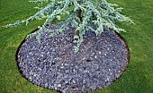 Circle of grey slate in complimentary colour to tree