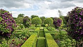 Low box hedge contains toparised Prunus Lusitanica Portugal Laurel