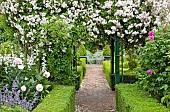 Rose arch Rosa Pauls Himalayan Musk