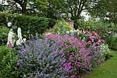 Colour themed border of herbaceous perennials