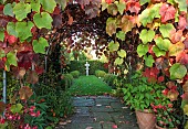 Vitis coignetiae Vista with statue