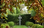 Vitis coignetiae Vista with statue