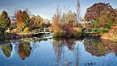 Aboretum lake and twin Monet style bridges