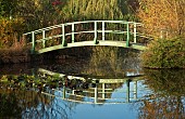 Aboretum large pool and Monet bridge