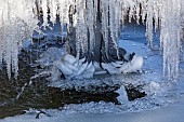 Frozen ornate water fountain in Winter
