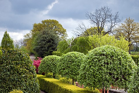 Semi_formal_garden_with_trees_and_shrubs