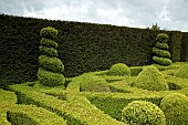 Box Hedge Yew Hedge Topiary Knot Garden Parterre
