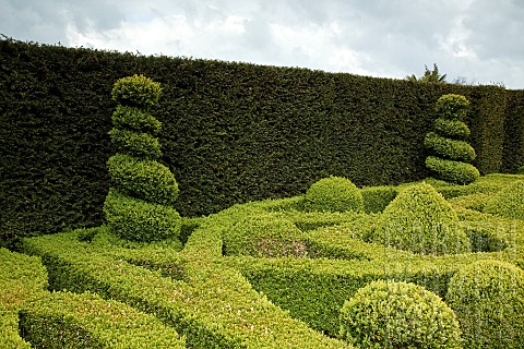 Box_Hedge_Yew_Hedge_Topiary_Knot_Garden_Parterre