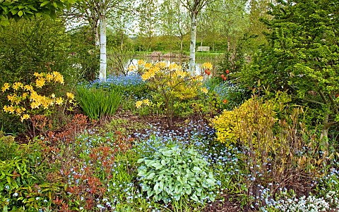Mixed_border_with_trees_shrubs_and_spring_flowers