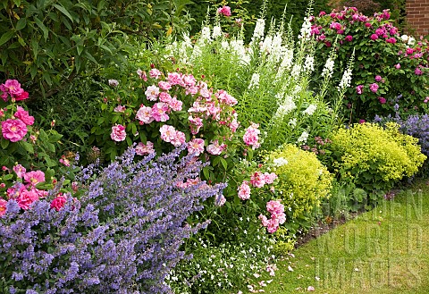 Wide_border_of_summer_flowering_herbaceous_perennials