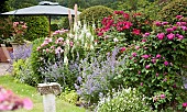 Borders of summer flowering herbaceous perennials ornate sun dial