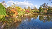 Aboretum large pond with autumn colour