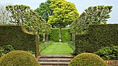 Two box puddings in foreground, steps leading to grass path