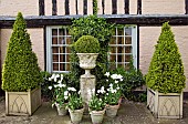 Pyramid box in containers box ball on plinth white tulips in terracotta conainers