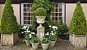 Pyramid box in containers box ball on plinth white tulips in terracotta conainers