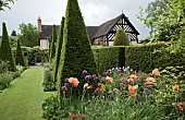 Tall yew spires