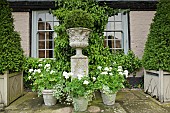 Ornate stone urns Pelagonium Geranium in country garden with a definite emphasis on perennials strong design and formality the resulting linearity creating several vistas at Wollerton Old Hall (NGS) Market Drayton in Shropshire early summer June